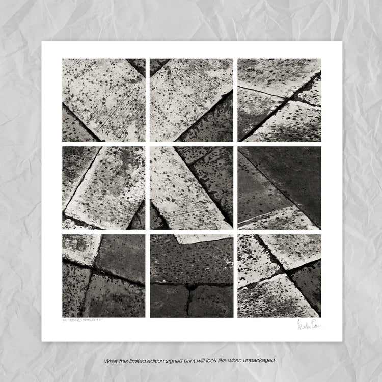 Analogous Anthology No.8