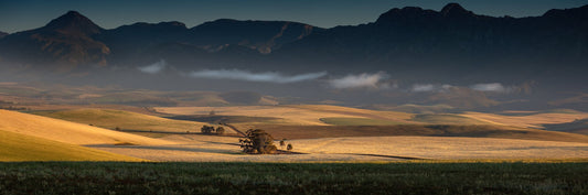 Majestic Overberg