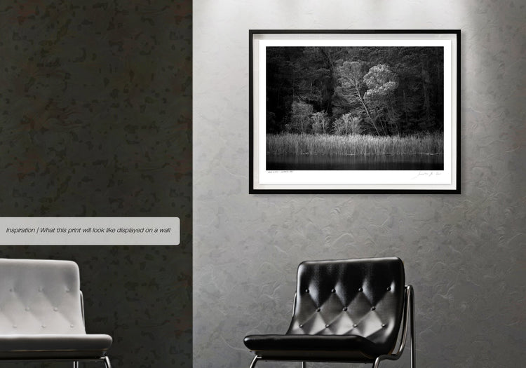 Ebony & Ivory - Leopards Lake