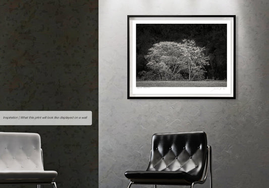 Ebony & Ivory - Natures Valley