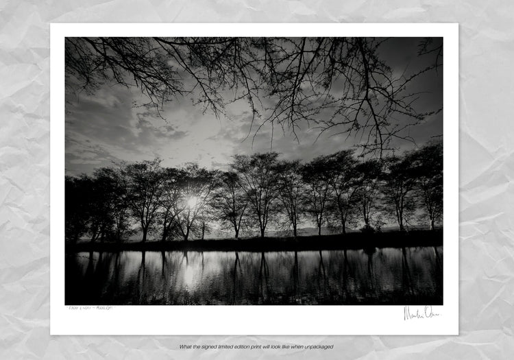 Ebony & Ivory - Moonlight