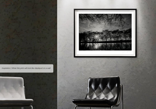 Ebony & Ivory - Moonlight