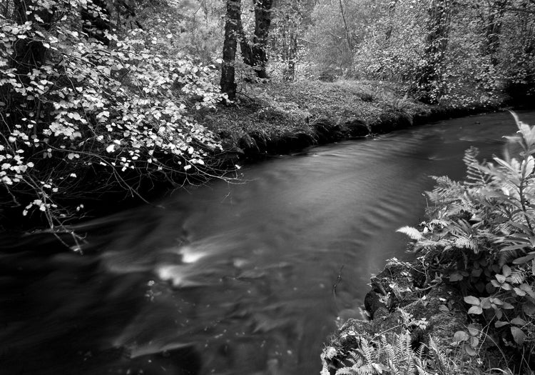Ebony & Ivory - Banks of Nevis