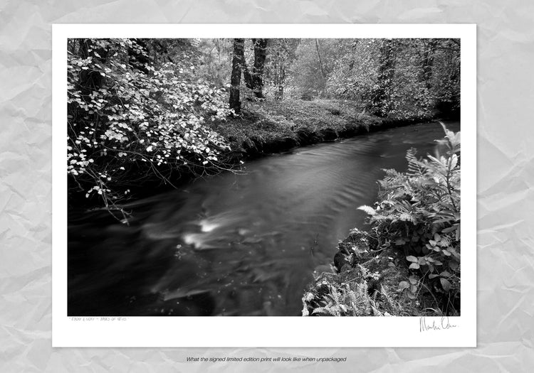 Ebony & Ivory - Banks of Nevis