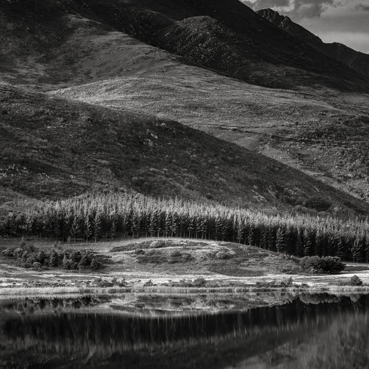 Ebony & Ivory - Mirror