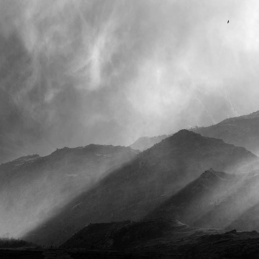 Ebony & Ivory - Valley of the Mist