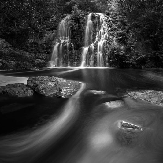 Ebony & Ivory - Tranquil Waters
