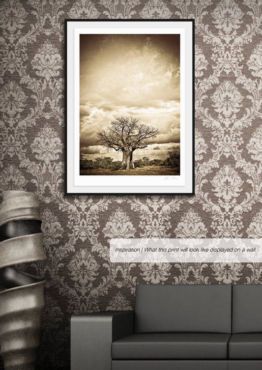 Baobab Hierarchy No.4