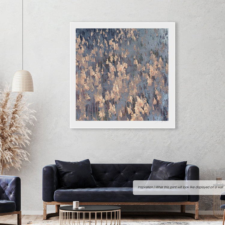 Pastures of Splendour No.1