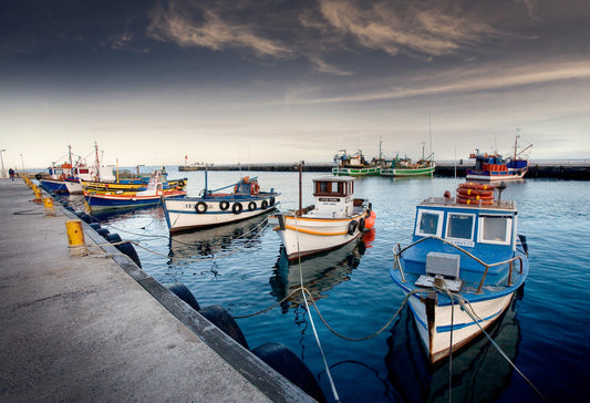 Classic Cape Town | Kalk Bay Harbour