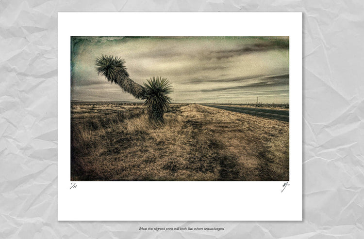 Landscape with Palm Trees
