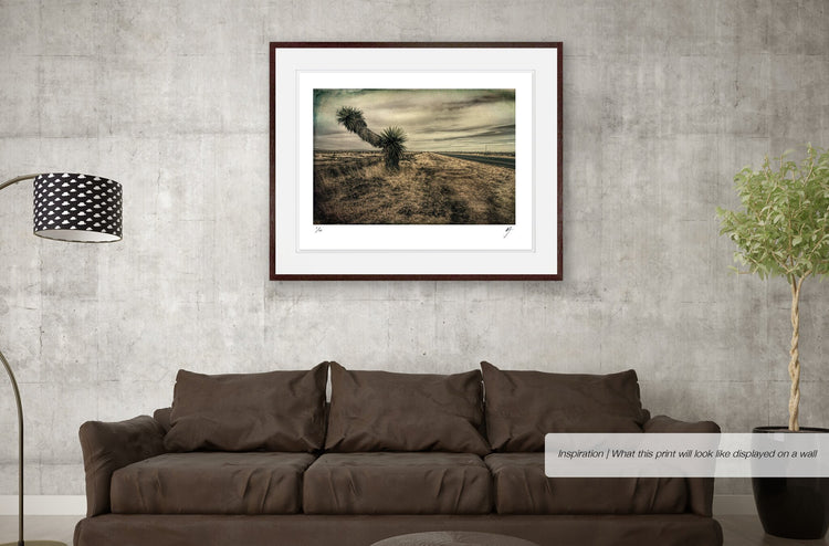 Landscape with Palm Trees