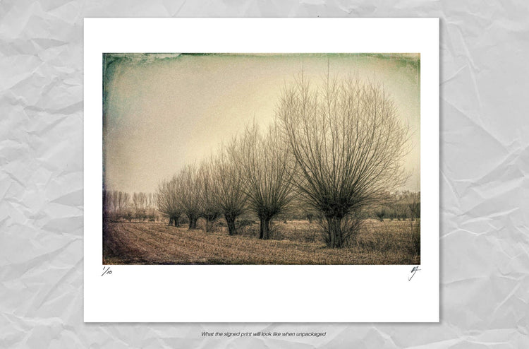 Landscape with Bare Trees