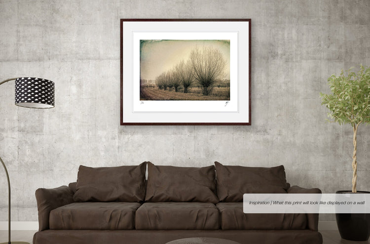 Landscape with Bare Trees