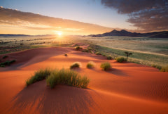 Namib Rand Landscape