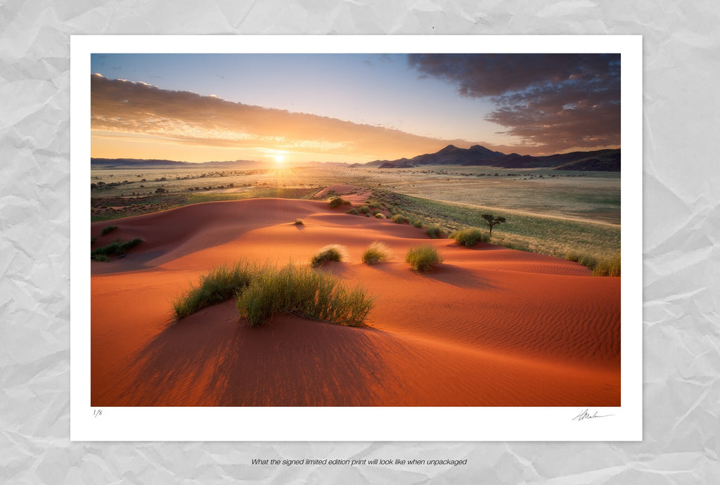 Namib Rand Landscape