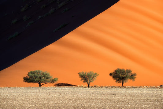 Sand mountains of Sossusvlei