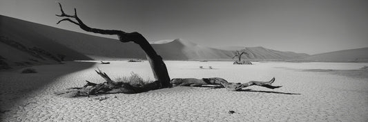 Dead Vlei