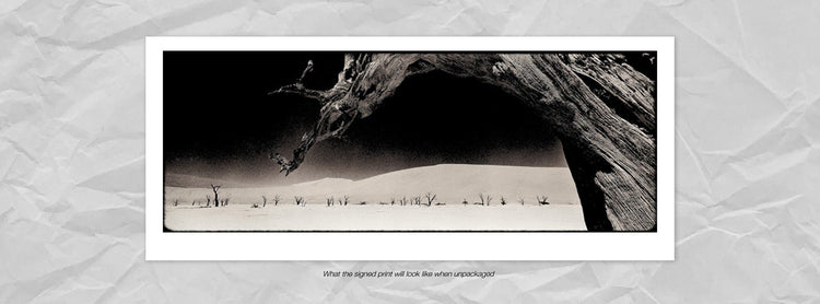 Deadvlei No.1