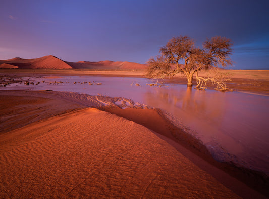 Ghost River | Namib in Flood