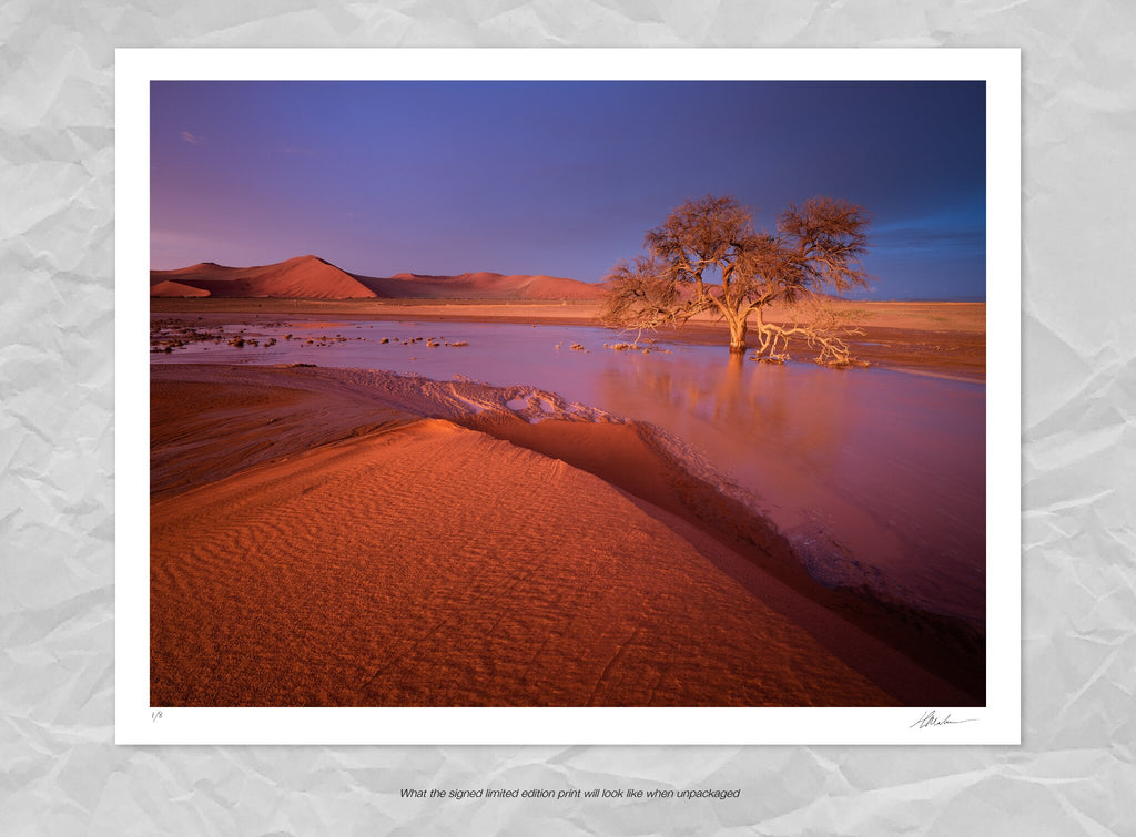 Ghost River | Namib in Flood