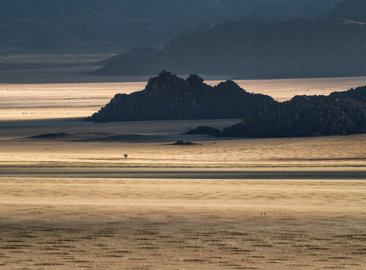 Gold | Namib in Flood