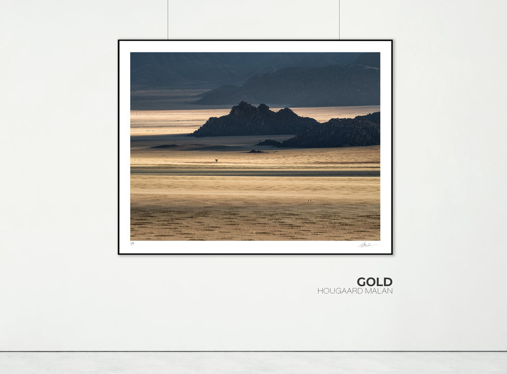 Gold | Namib in Flood
