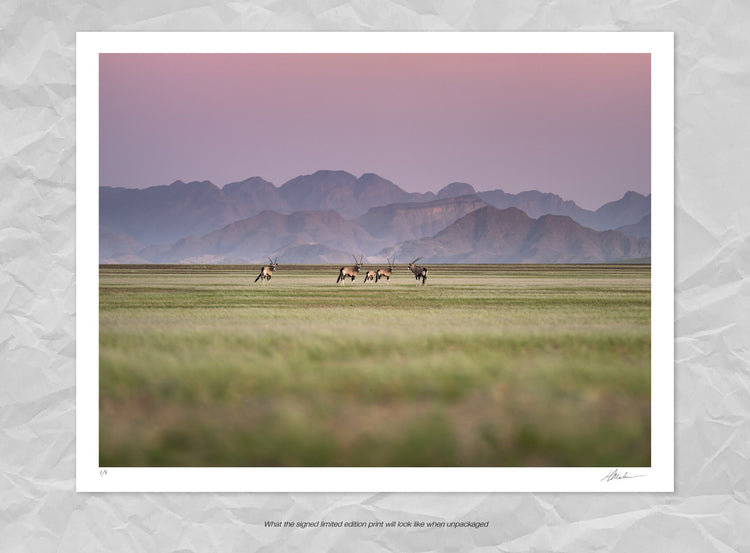 Sentinels of the Desert | Namib in Flood