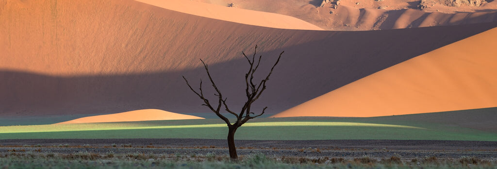 Light Motif | Namib in Flood