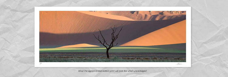 Light Motif | Namib in Flood
