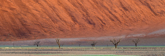 Rain Motif | Namib in Flood