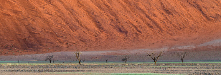Rain Motif | Namib in Flood