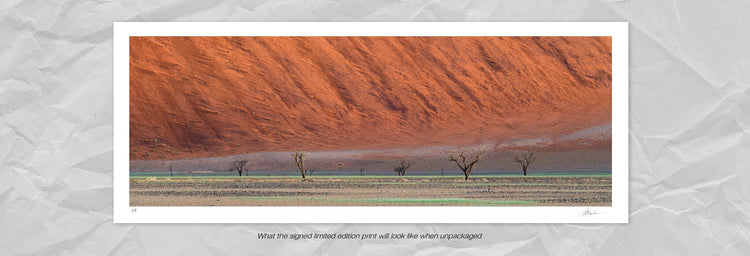 Rain Motif | Namib in Flood