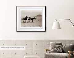 Wild Horses of the Namib No.5