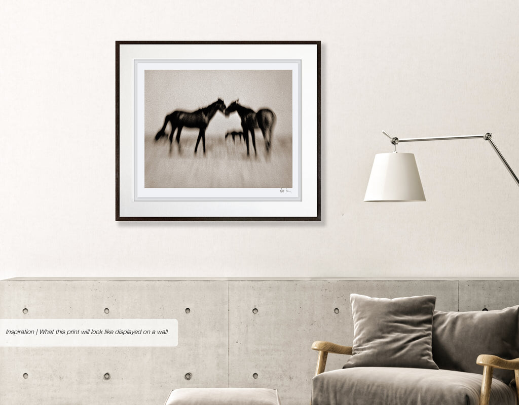 Wild Horses of the Namib No.4