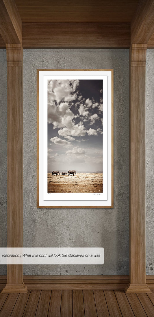 Crossing at Amboseli | Pride of Africa